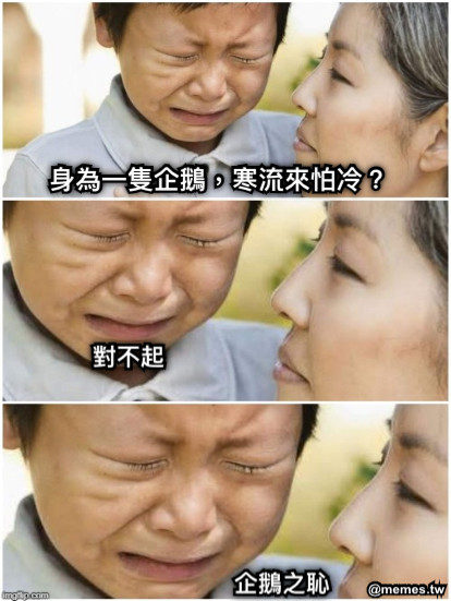 身為一隻企鵝，寒流來怕冷？ 對不起 企鵝之恥