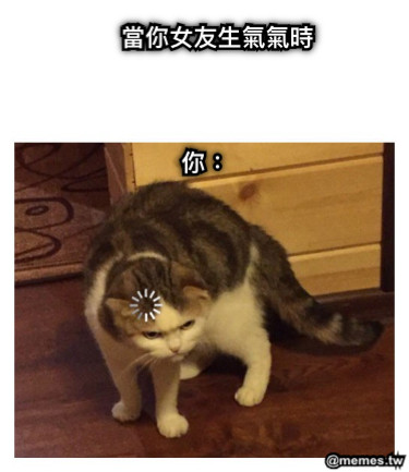 當你女友生氣氣時 你：
