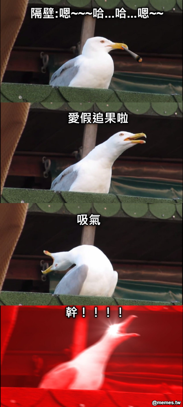 隔壁:嗯~~~哈...哈...嗯~~ 愛假追果啦 吸氣 幹！！！！