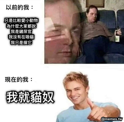 我就貓奴 只是比較愛小動物 為什麼大家都說 我是鏟屎官 我沒有在吸貓 我只是摸它