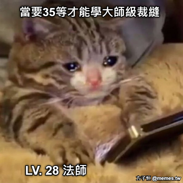 當要35等才能學大師級裁縫 LV. 28 法師