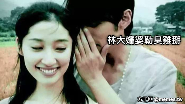 林大嬸婆勒臭雞掰