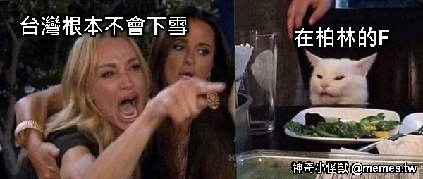 台灣根本不會下雪 在柏林的F