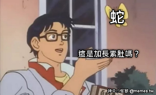 這是加長素肚嗎？ 蛇