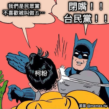 我們是民眾黨 不喜歡被叫做ㄊ⋯ 閉嘴！！ 台民黨！！ 柯粉
