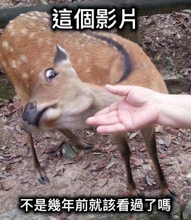 這個影片 不是幾年前就該看過了嗎