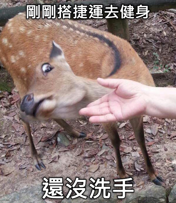剛剛搭捷運去健身 還沒洗手