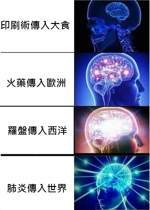 印刷術傳入大食 火藥傳入歐洲 羅盤傳入西洋 肺炎傳入世界