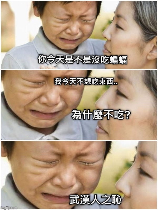 你今天是不是沒吃蝙蝠 我今天不想吃東西.. 為什麼不吃? 武漢人之恥