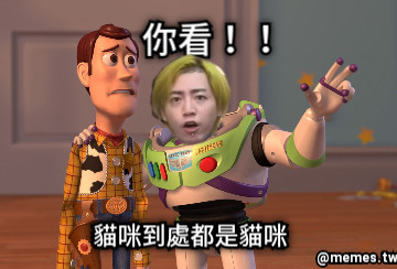 你看！！ 貓咪到處都是貓咪