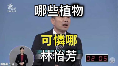 哪些植物 林怡芳