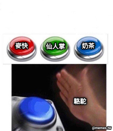 麥快 奶茶 仙人掌 駱駝