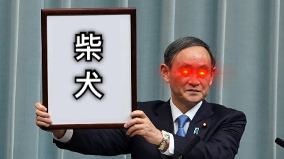 柴 犬