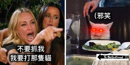 不要抓我 我要打那隻貓 （邪笑