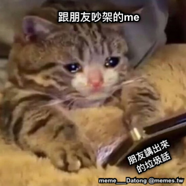 跟朋友吵架的me 朋友講出來的垃圾話