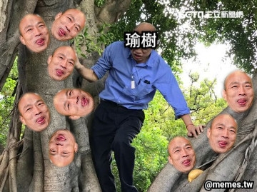 瑜樹