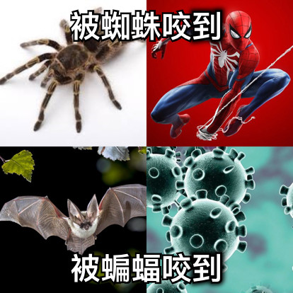 被蜘蛛咬到 被蝙蝠咬到