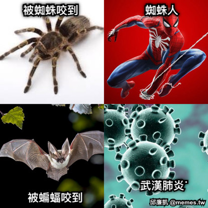 被蜘蛛咬到 蜘蛛人 被蝙蝠咬到 武漢肺炎˙