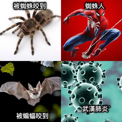 被蜘蛛咬到 蜘蛛人 被蝙蝠咬到 武漢肺炎˙