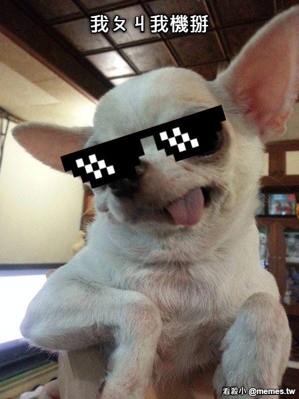 我ㄆㄐ我機掰