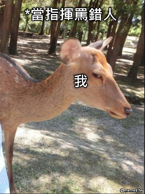 *當指揮罵錯人 我