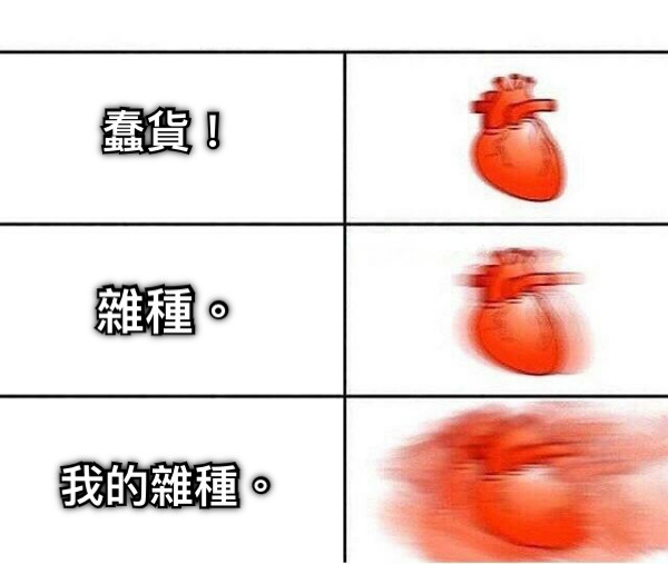 雜種。 我的雜種。 蠢貨！