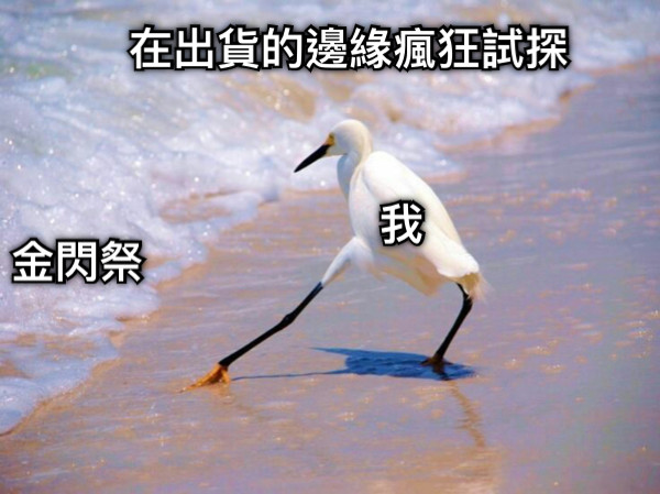 在出貨的邊緣瘋狂試探 金閃祭 我