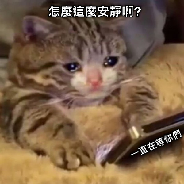 怎麼這麼安靜啊? 一直在等你們