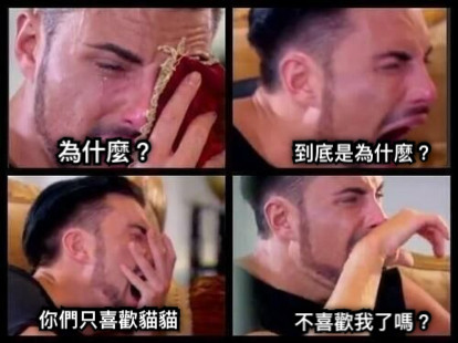 為什麼？ 到底是為什麽？ 不喜歡我了嗎？ 你們只喜歡貓貓