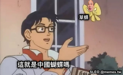 這就是中國蝴蝶嗎 草蝶