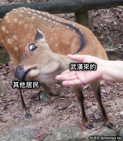 武漢來的 其他居民