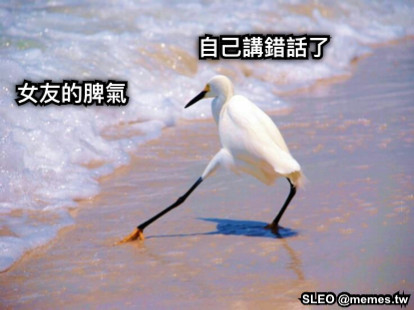 自己講錯話了 女友的脾氣