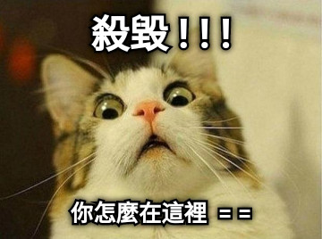 殺毀 ! ! ! 你怎麼在這裡  = =