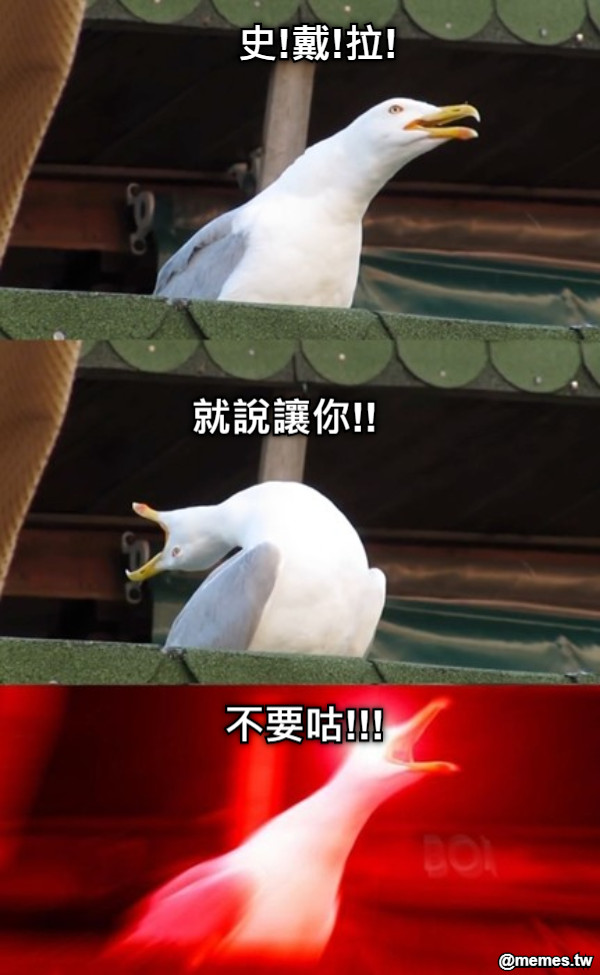 史!戴!拉! 就說讓你!! 不要咕!!!