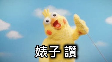婊子 讚