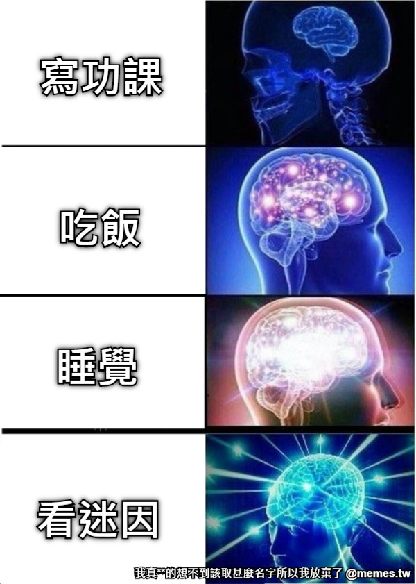 寫功課 吃飯 睡覺 看迷因