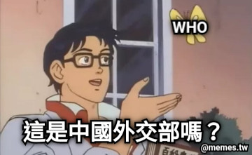 這是中國外交部嗎？ WHO