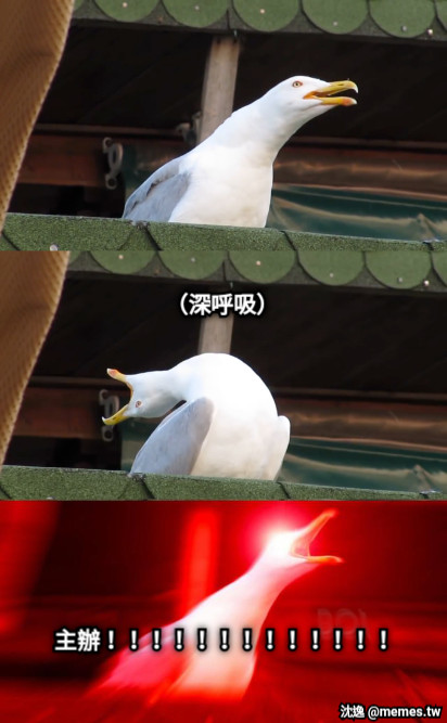 （深呼吸） 主辦！！！！！！！！！！！！！