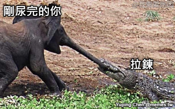 拉鍊 剛尿完的你