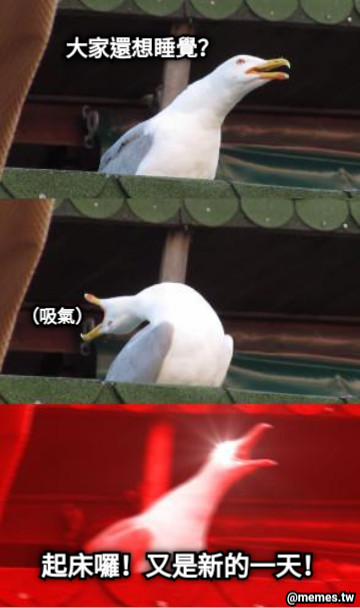 大家還想睡覺？ （吸氣） 起床囉！又是新的一天！