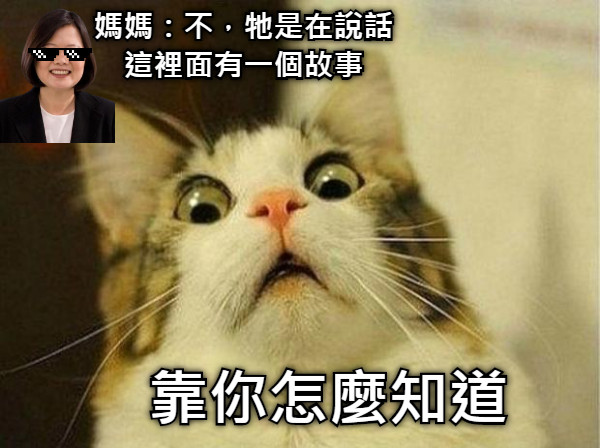 媽媽：不，牠是在說話 這裡面有一個故事 靠你怎麼知道