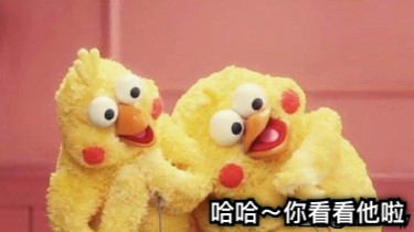 哈哈～你看看他啦