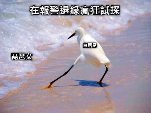 琵琶女 白居易 在報警邊緣瘋狂試探