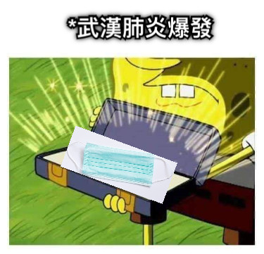 *武漢肺炎爆發