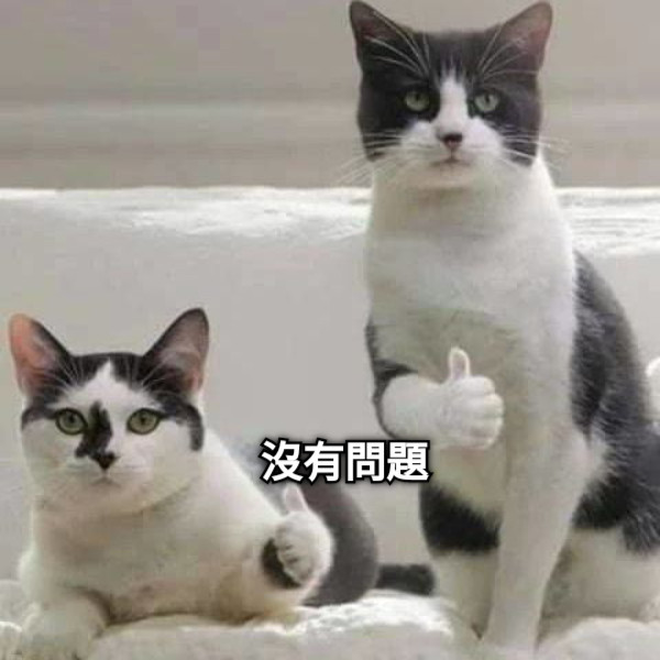 沒有問題