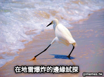 在地雷爆炸的邊緣試探