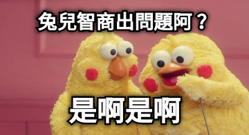 兔兒智商出問題阿？ 是啊是啊