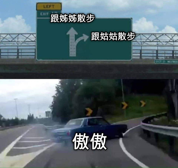 傲傲 跟姊姊散步 跟姑姑散步