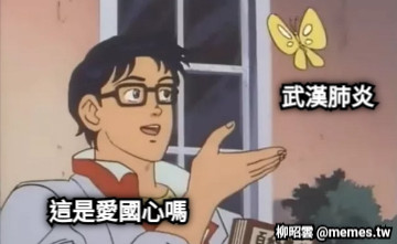 這是愛國心嗎 武漢肺炎