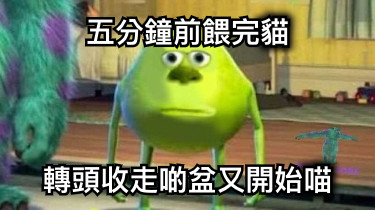 五分鐘前餵完貓 轉頭收走啲盆又開始喵